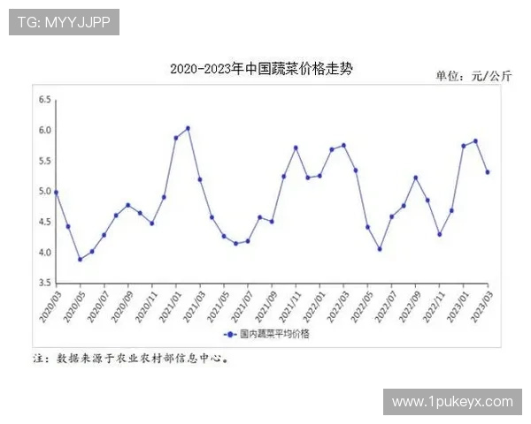 今日白菜价格查询:一斤多少钱?最新行情分析!